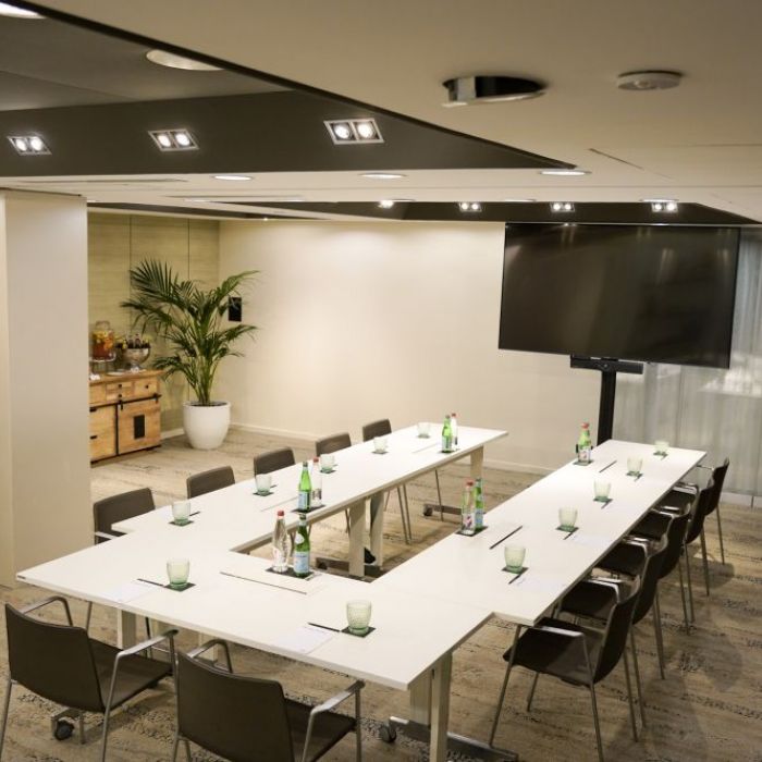 Salon Sully Pullman Paris Tour Eiffel